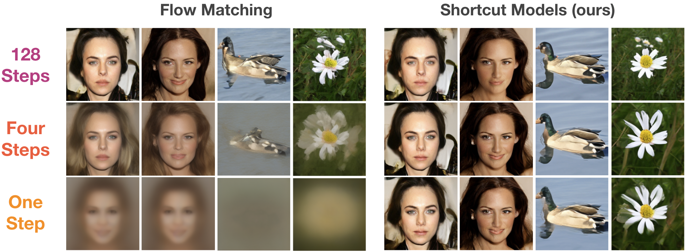 Tìm hiểu về Flow Matching - Giải thuật Shortcut models