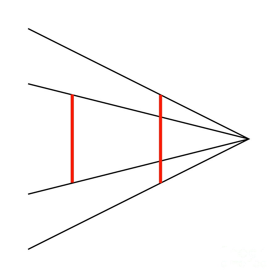 Professor Santos showed visual illusions to make a point about how humans think
